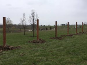 Fence posts by Level Posts