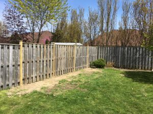 Replacement fence posts